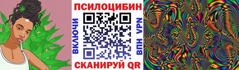 Псилоцибиновые грибы GOLDEN TEACHER  где продают наркотики  Буй 